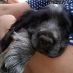 Shirley - @shirleyblue_ - Instagram