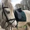 Shirley&Blue🫶🏽 - @shirleyandblue - TikTok