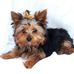 Shirley Bolduc - Facebook