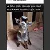 shirleyborders576 - @shirleyborders576 - TikTok