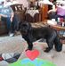 Shirley Boyer - Facebook