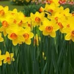 Shirley Broadhead - @shirley.broadhead.56 - Instagram