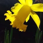 Shirley Broadhead - @broadheadshirley - Instagram