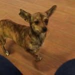 @shirley_broadway_anderson - Instagram