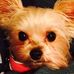 Shirley Bruner - Facebook