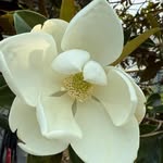Shirley Bruner - @inrivergirl - Instagram