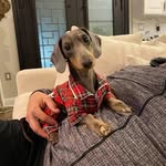 Shirley Bryson - @caroline_liam1244 - Instagram