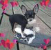 Shirley Burson Rhodes - Facebook
