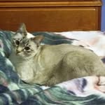 Shirley Cherry - @sebidbl00 - Instagram