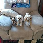 shirley cockerham - @shirley.cockerham - Instagram