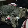 Shirley Eugenio Concepcion - @shirley.eugenio.c - TikTok