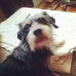 Shirley Connell - @bericitr - Instagram