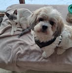 Shirley Connelly - Facebook