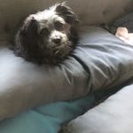 Shirley conrad - @shirleyconrad968 - Instagram