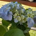 Shirley Conrad Eggers - @eggersshirleyconrad - Instagram