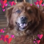 Shirley Coon - @shirley.coon.33 - Instagram
