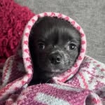 Shirley Cooney - @shirleycooney2013 - Instagram