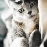 Shirley - @shirleycore - Instagram