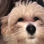 Shirley F. Crouch - @shirleylovesnaps - Instagram