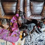 Shirley Crow - @crowzbonz - Instagram