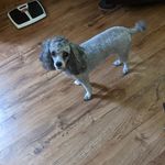 Shirley Croy - @ray62me61 - Instagram