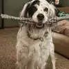 shirleycroy - @shirley.croy - TikTok