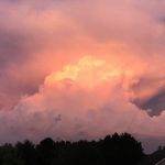 shirley curl - @curl.shirley - Instagram