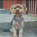 Shirley Curle - Facebook