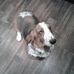 Shirley Deen - Facebook