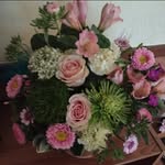Shirley Dellinger - @feros50341 - Instagram