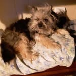 Shirley Dellinger - @shirley.dellinger.90 - Instagram