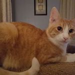 Shirley Dewitt - @shirleydewitt - Instagram