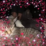 @shirley_divens1 - Instagram