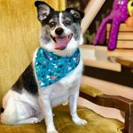 Shirley Ann Donovan - @shirleydonovan298 - Instagram