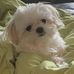 Shirley Donovan - Facebook