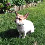 Shirley Downes - @shirley.downes.37 - Instagram