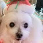 Shirley Downey - @shirley.downey.520 - Instagram