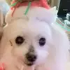 shirleydowney71 - @shirleydowney71 - TikTok