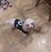 Shirley Drexler - Facebook