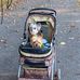 Shirley Duncan - Facebook