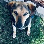 Shirley Dunkley - @sdunkley4854 - Instagram