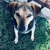 Shirley Dunkley - Facebook