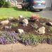 Shirley Dutton - Facebook
