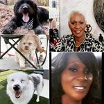 @shirley_eady_3furbabies - Instagram