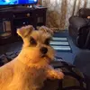 shirleyteaster - @shirley.teaster - TikTok