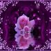 Shirley Easterly - Facebook