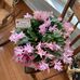 Shirley Eddinger - Facebook