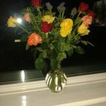 Shirley Egan - @shirleyegan - Instagram