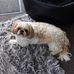 Shirley Epplett - Facebook
