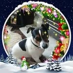 Shirley Cairns Etheridge - @shirley.etheridge.90 - Instagram